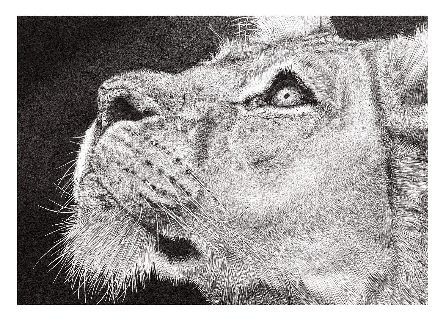 'Serenity...' Signed Greetings Card