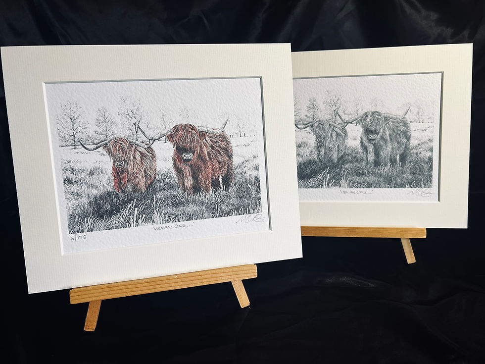 Thumbnail: 'Heilan Coos...' - Limited Edition Colour Print