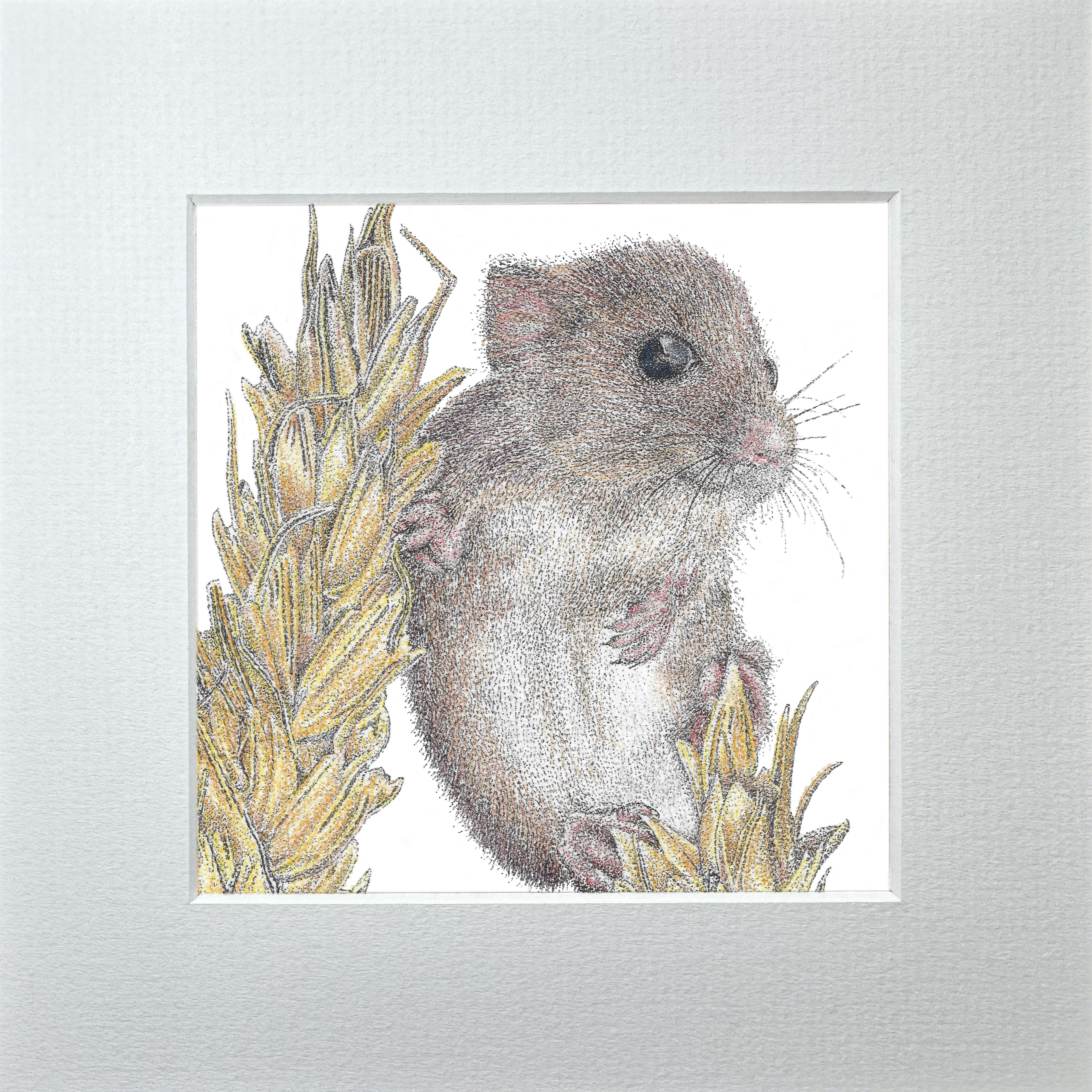 'Harvest Mouse...' Details Collection Print