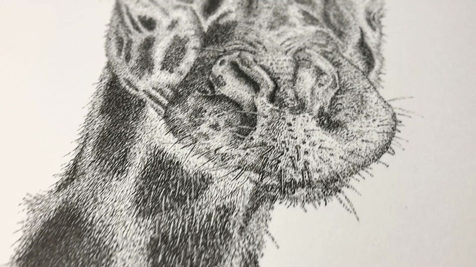 Thumbnail: 'Elegance...' Limited Edition Print