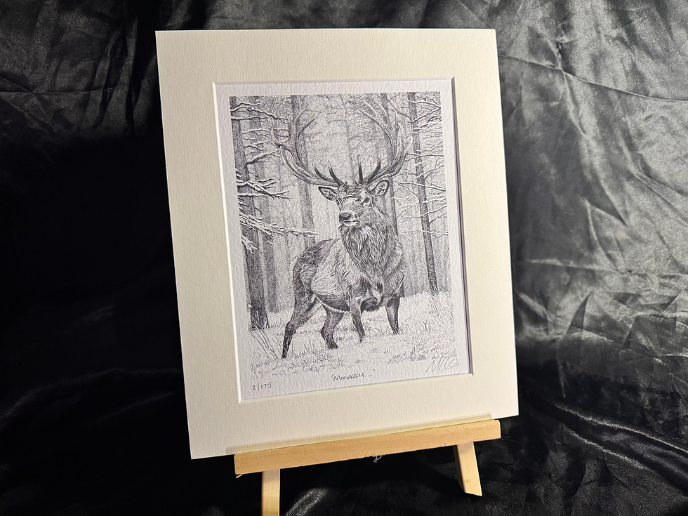 Thumbnail: 'Monarch...' Limited Edition Print (Black and White)