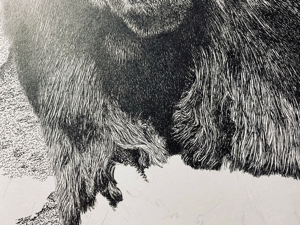 Thumbnail: 'Dominance...' Limited Edition Print