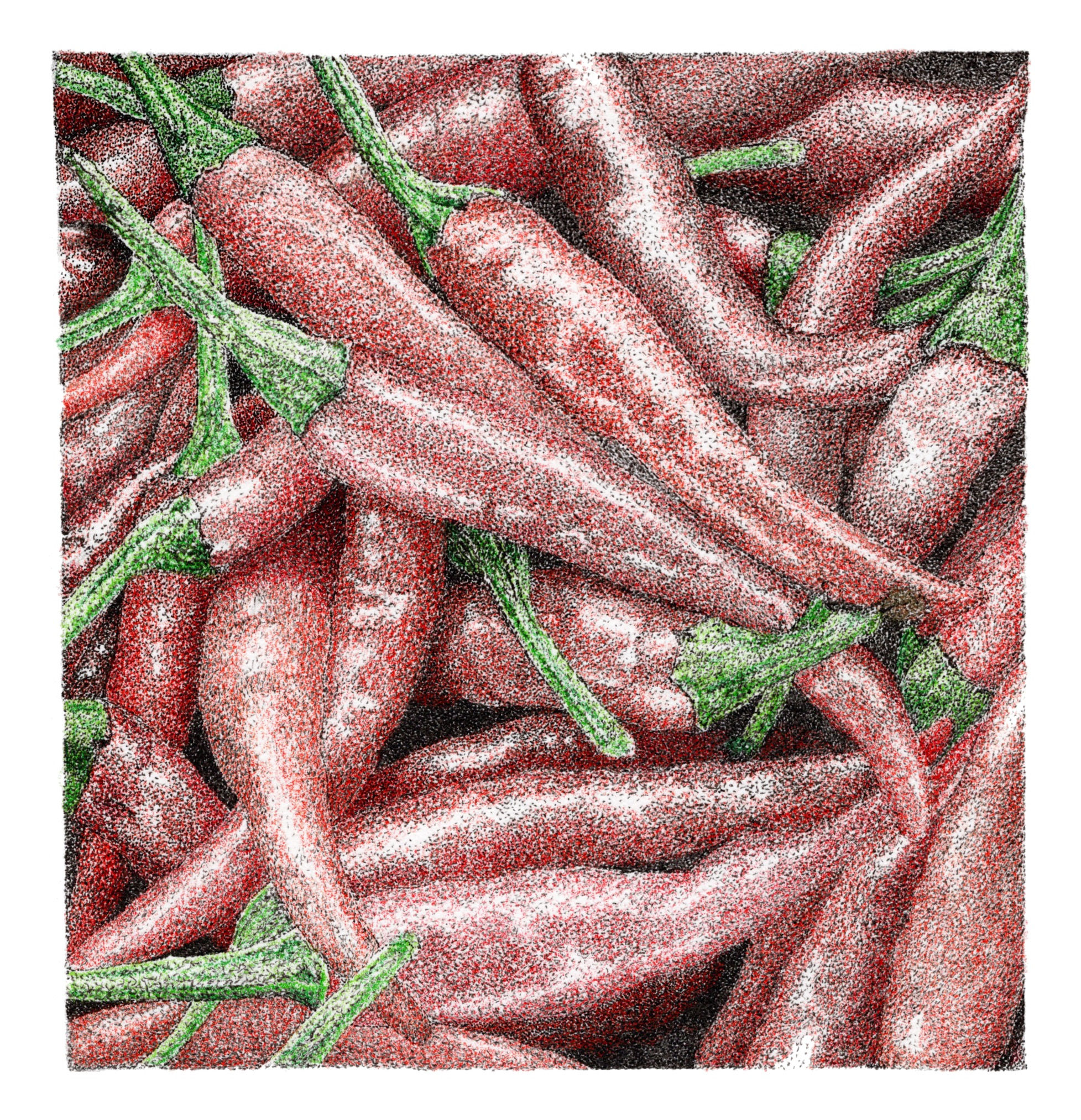 'Chillies...' - Kitchen Collection