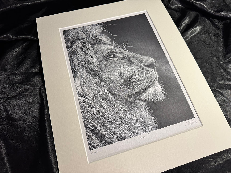 Thumbnail: 'Pride...' Signed Greetings Card