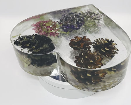 Thumbnail: Preserved Flowers and Pinecones with glitter background