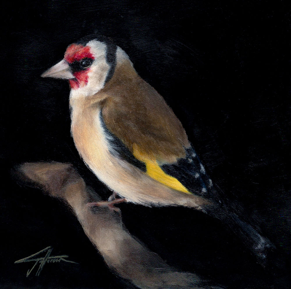 Goldfinch
