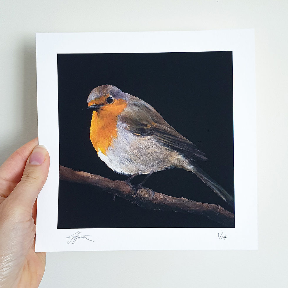 Thumbnail: Robin