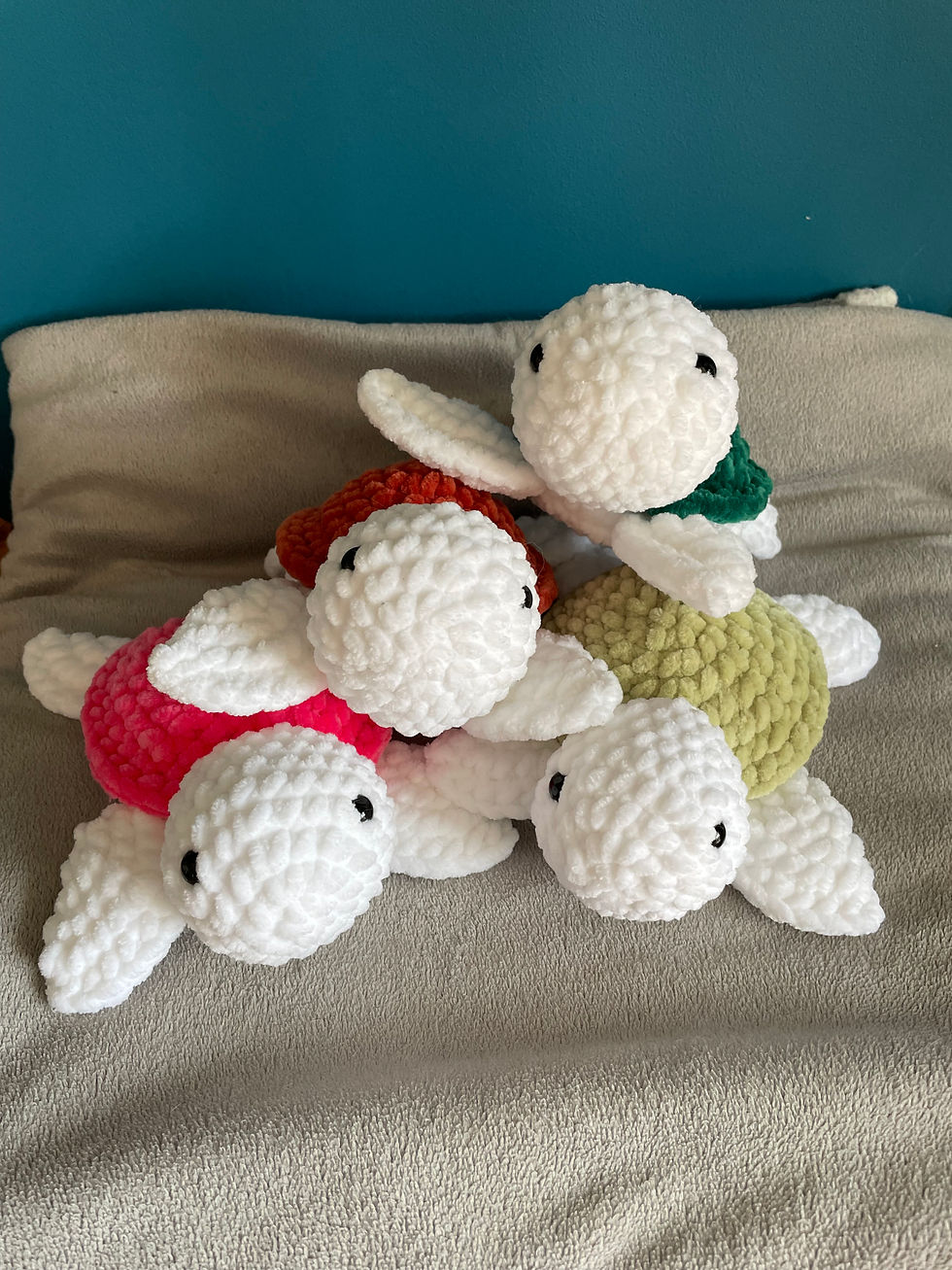 Miniature : Tortues maritimes