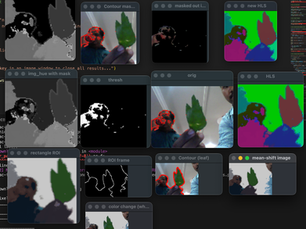 Augmented Reality Plant Disease Detection Using Python, OpenCV, and CNN