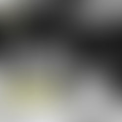 Nona Gaprindashvili, jugadora de ajedrez georgiana y primera Grandmaster de la FIDE.