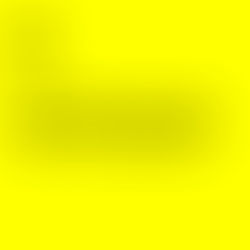 Día Internacional de la Conciencia.