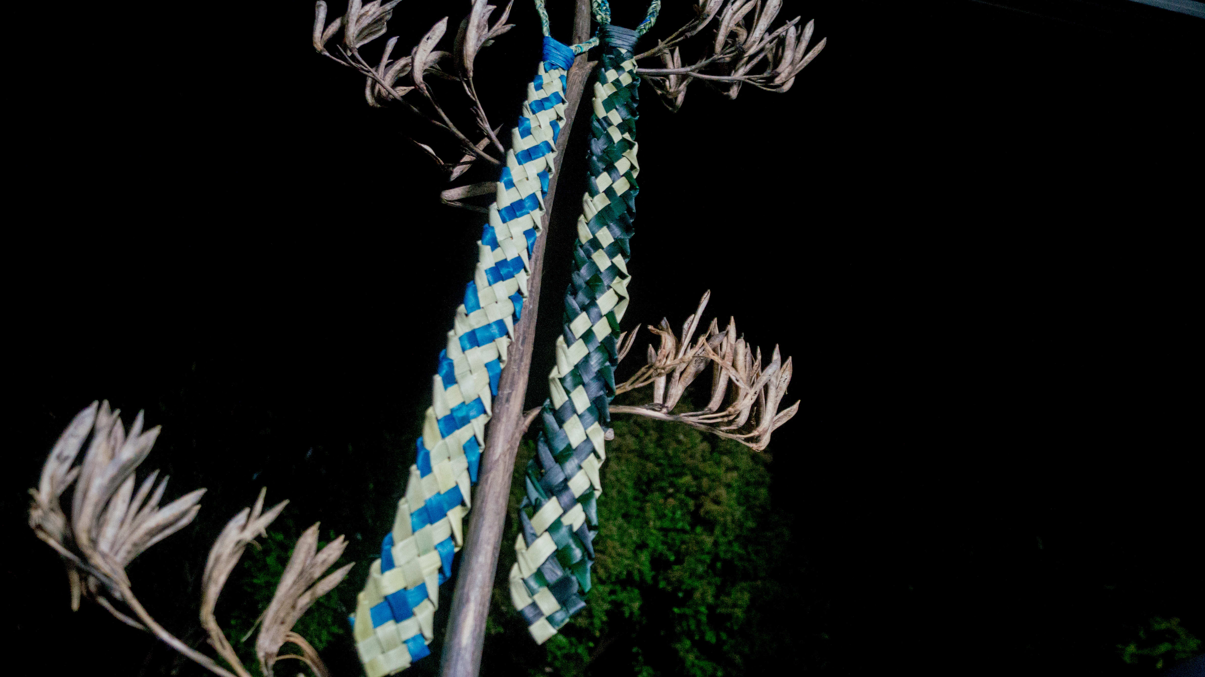Kākā and Inaka