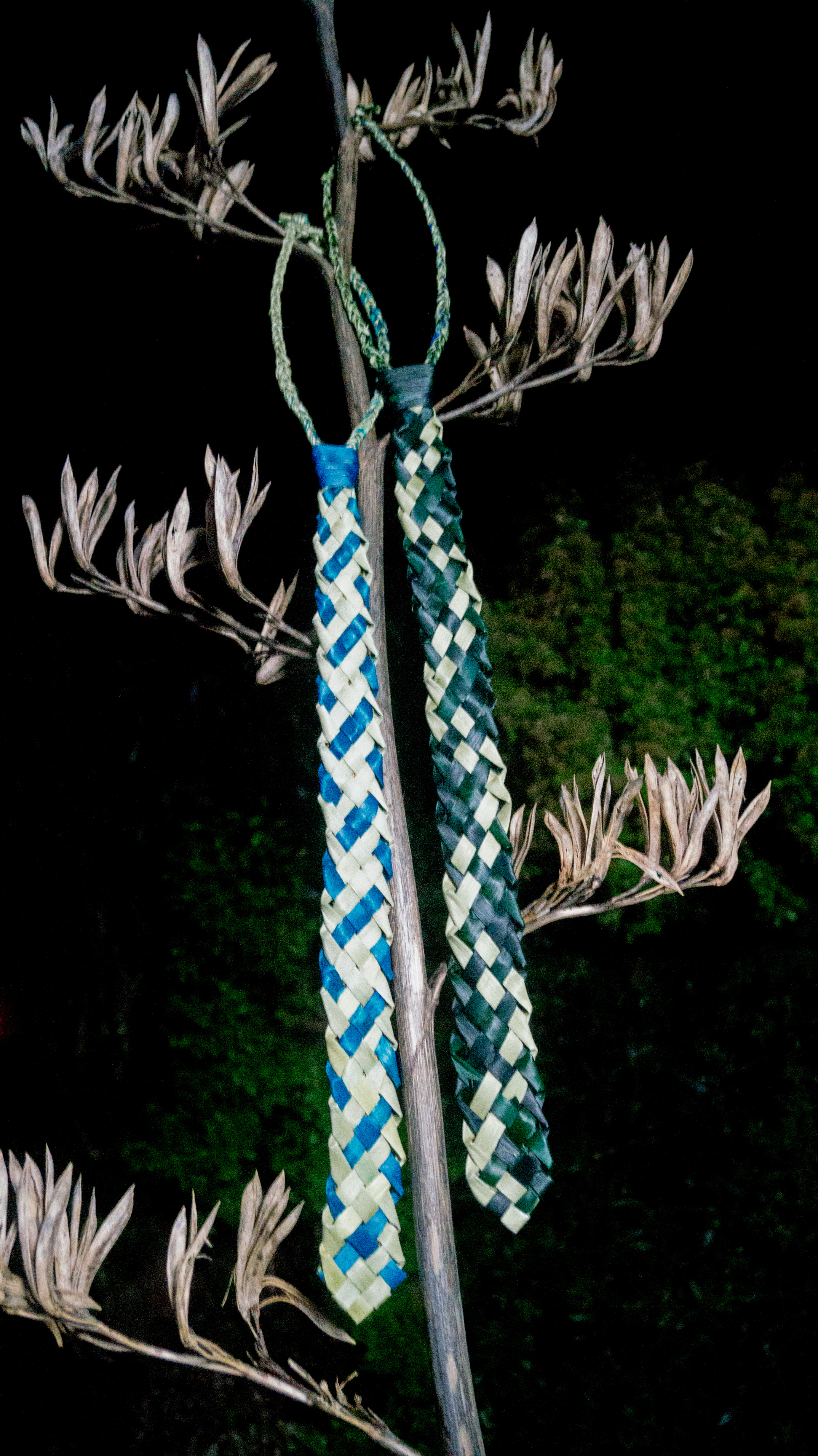 Kākā and Inaka