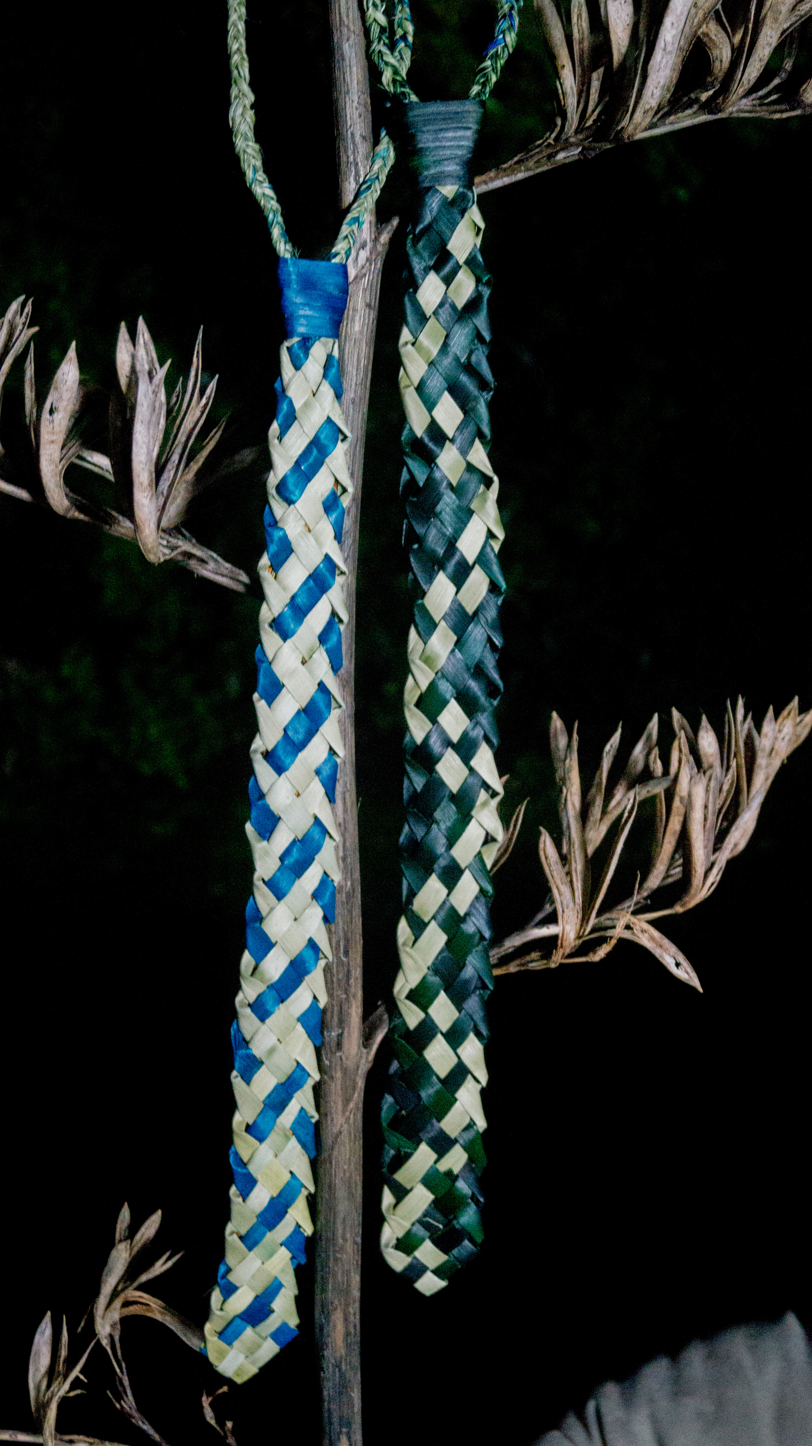 Kākā and Inaka