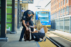 MetroTransitPD2025_D1_0700