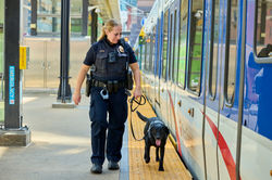 MetroTransitPD2025_D1_0608