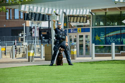 MetroTransitPD2025_D1_0719