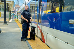 MetroTransitPD2025_D1_0656