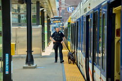 MetroTransitPD2025_D1_0631