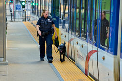 MetroTransitPD2025_D1_0596