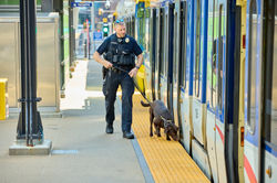 MetroTransitPD2025_D1_0621