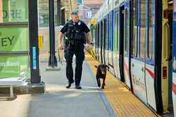 MetroTransitPD2025_D1_0628