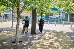 MetroTransitPD2025_D1_0286