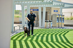 MetroTransitPD2025_D1_0552