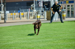 MetroTransitPD2025_D1_0723