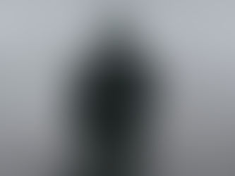 What Happens When Your Leader is Depressed?