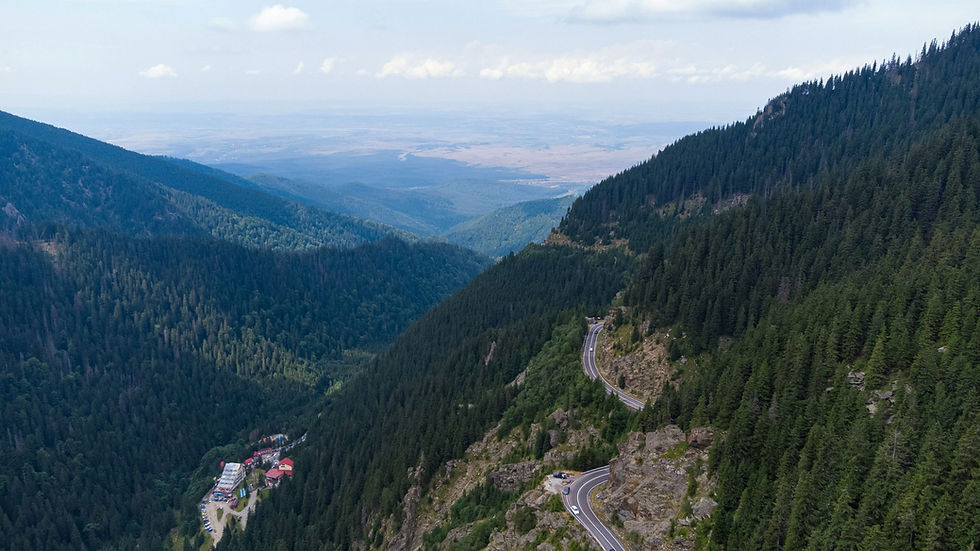 High altitude view of a valley in the heavily forested Carpathian Mountains, Romania.