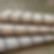 Shearwater3.jpg