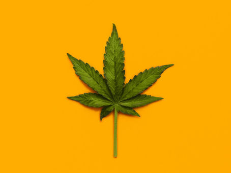 Incarcerated Canna-Moms