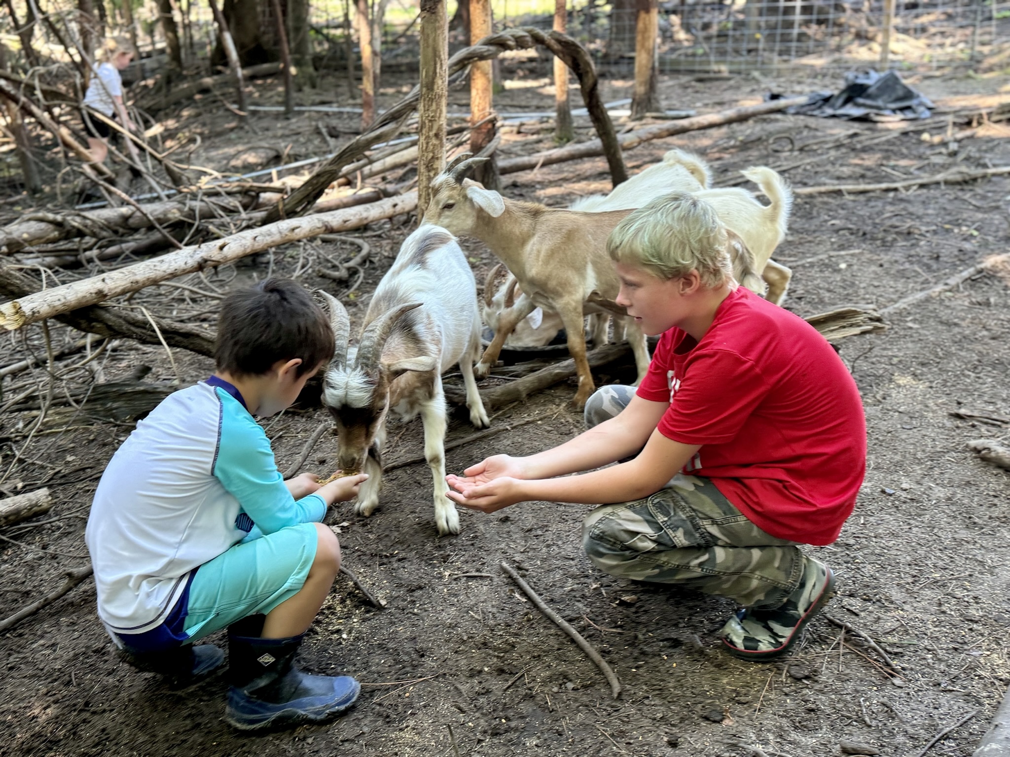 Jireh Summer Camp