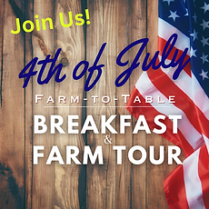 Fourth of July breakfast.png