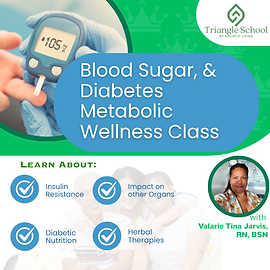 Blood Sugar, & Diabetes Metabolic Wellness Class.png