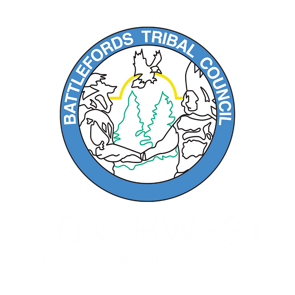 NORTHWEST PROFESSIONAL SERVICES (3).png