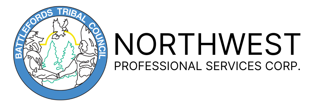 NORTHWEST PROFESSIONAL SERVICES (4).png