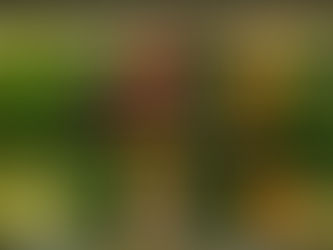 Tariffs Bite - a Bitter Taste: How Trade Policies Impact Restaurants & Catering