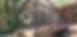 20220519_164845.jpg