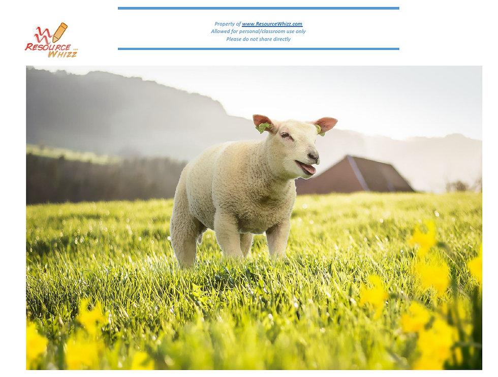 Thumbnail: Spring Display Photos