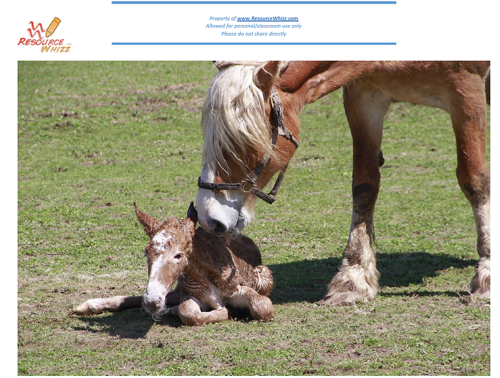 Thumbnail: Spring Display Photos