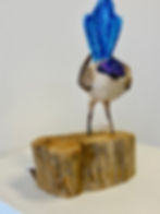 Thumbnail: Purple-crowned Fairywren