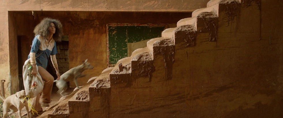 WhatsApp Image 2022-06-12 at 10.48.37-3.jpeg