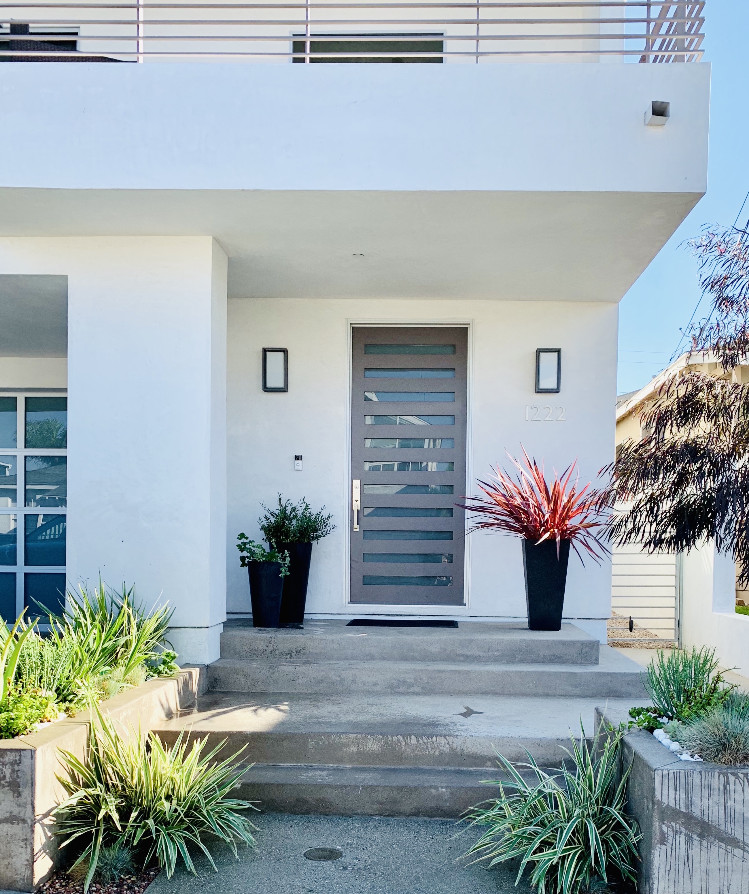 Front Yard plants, Redondo Beach