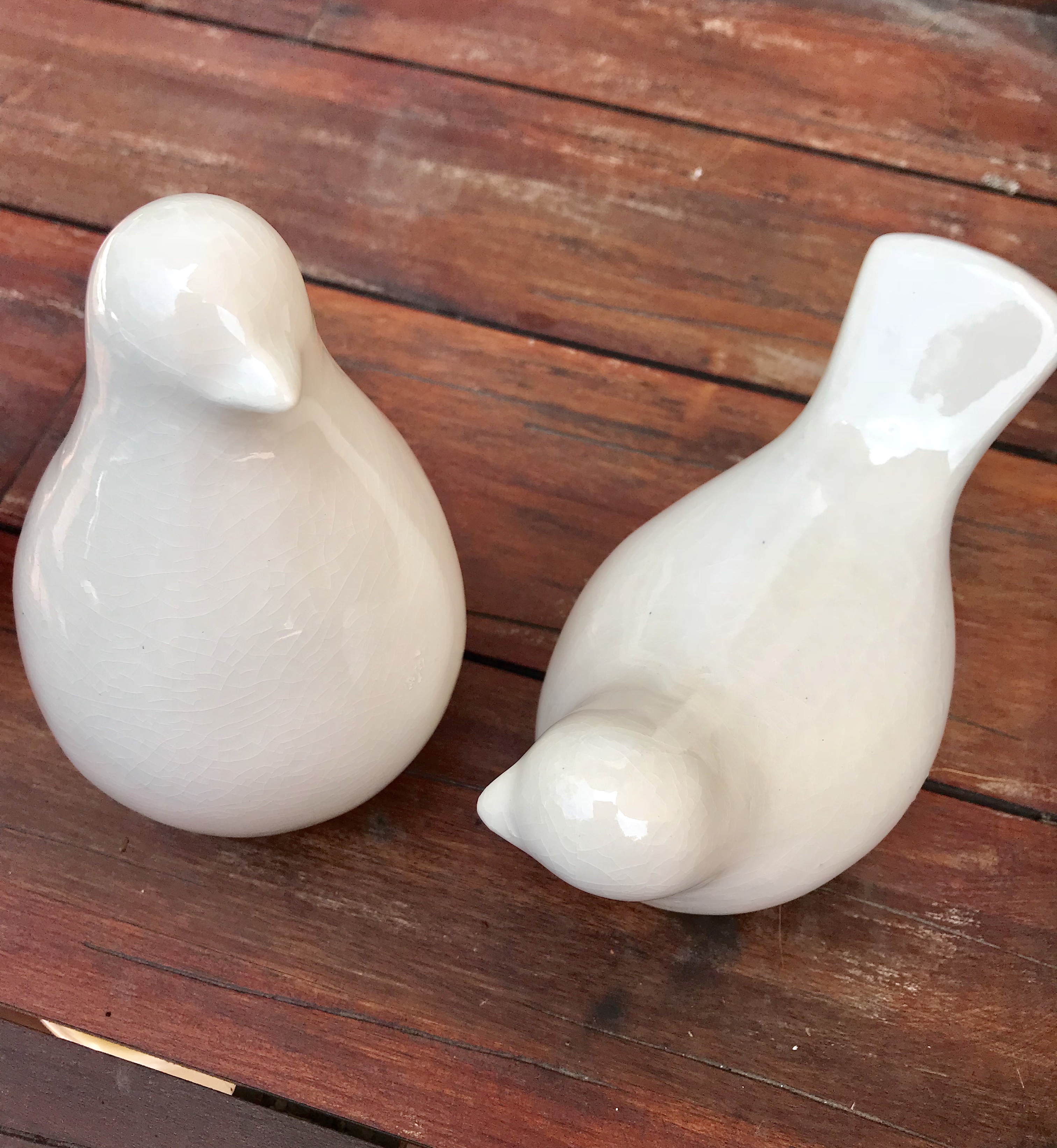 White birds