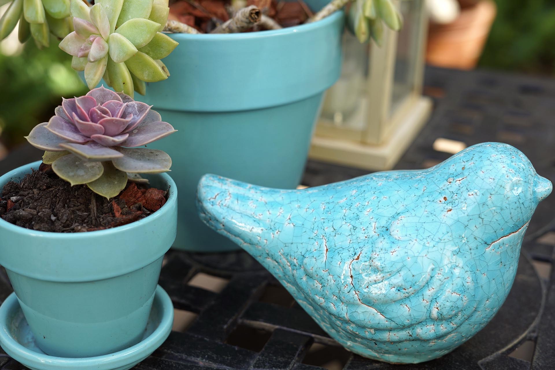 Bird decor, Orange County