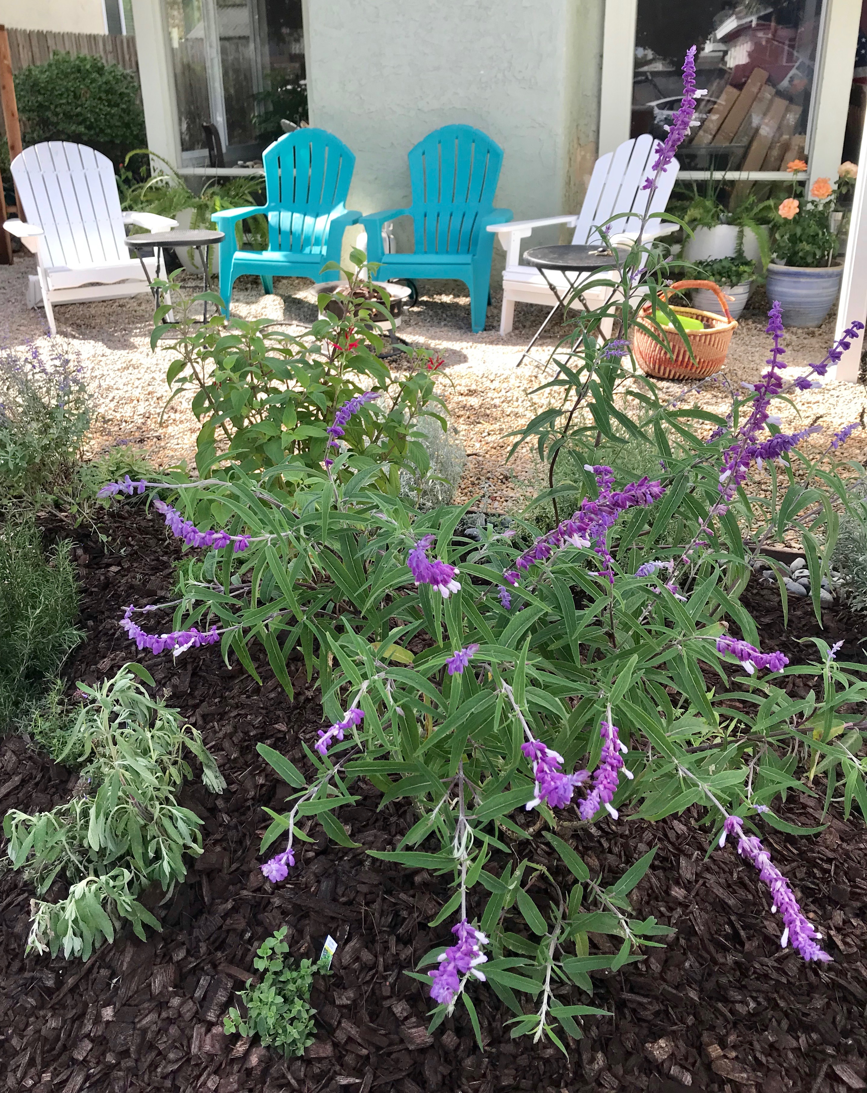 Landscape Design, Herbs