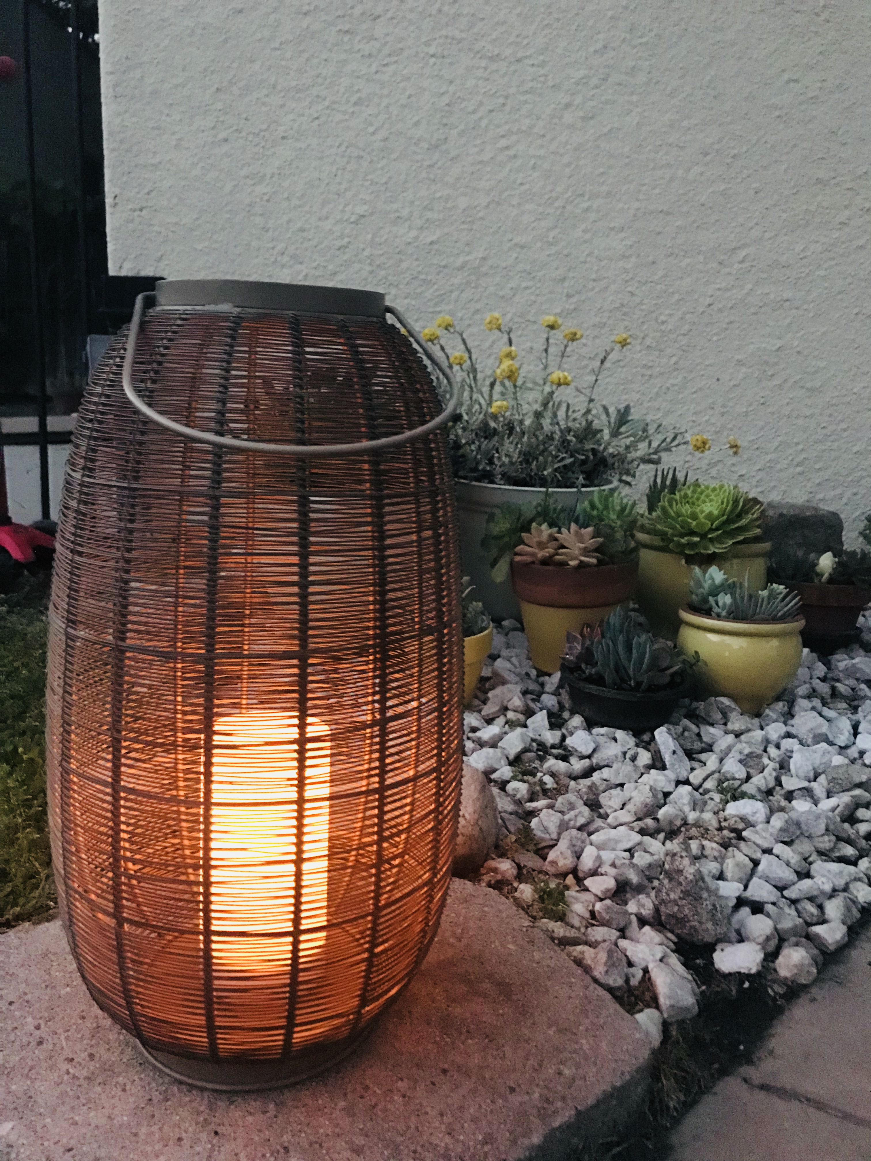 Lantern & succulents