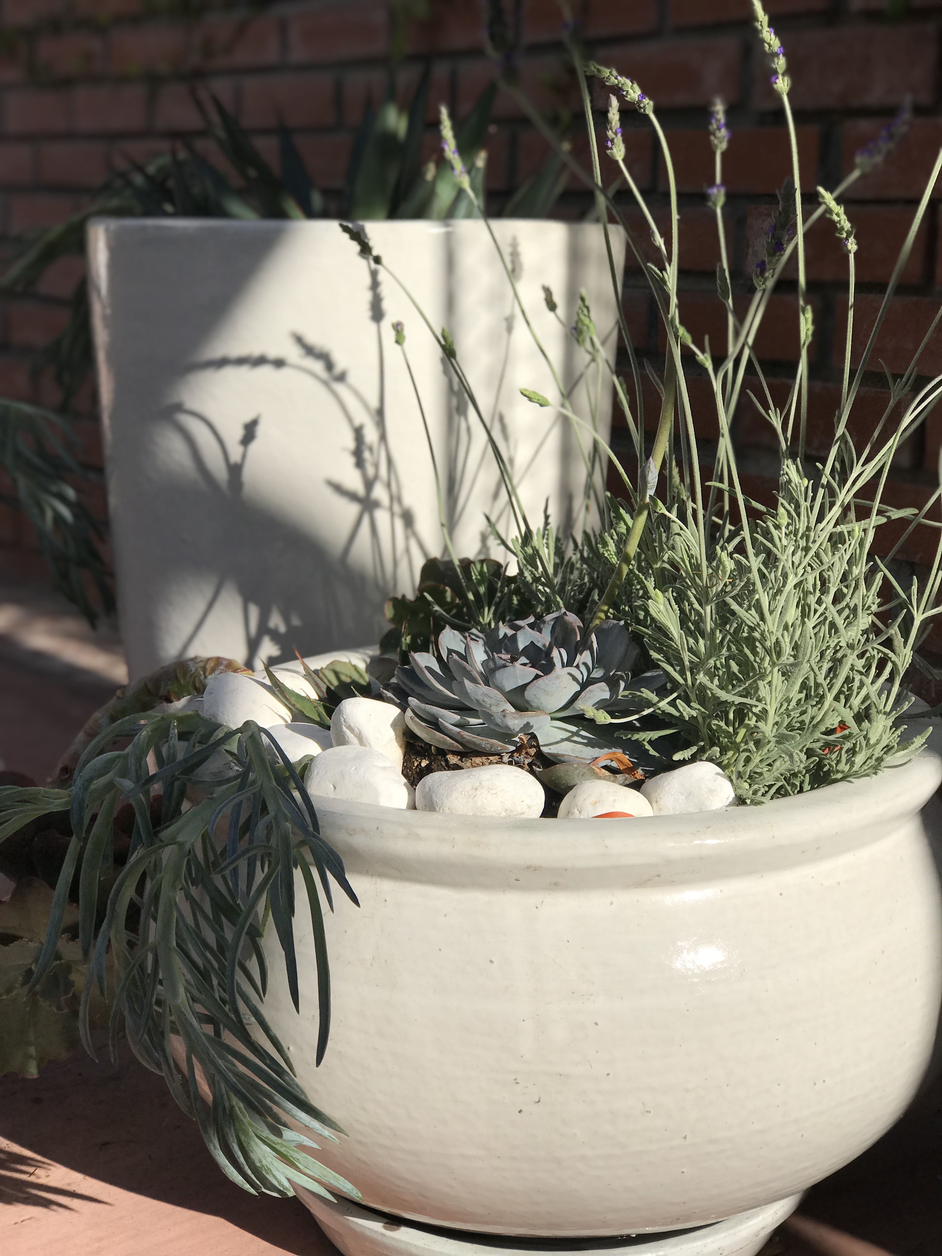 Planters, Redondo Beach